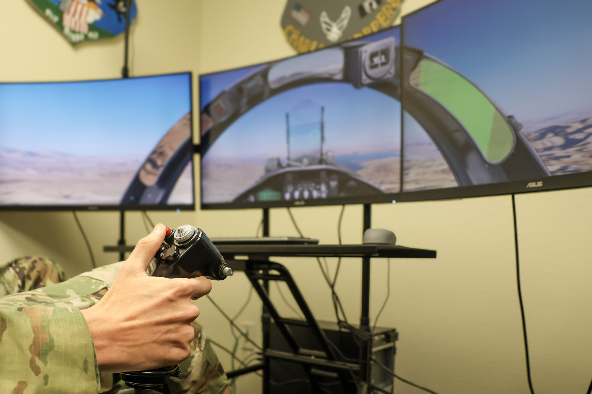 Flight Sim